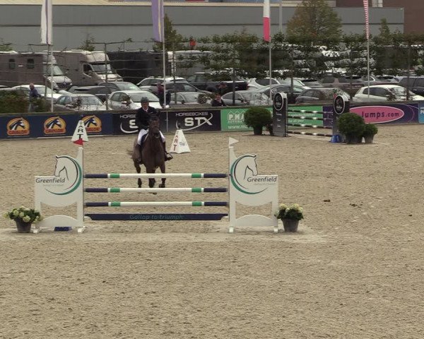 Belgisch Kampioenschap 4-5 Jarigen Paarden