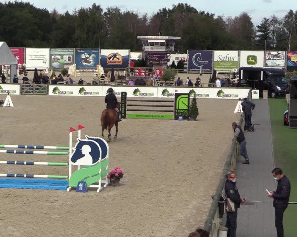 Belgisch Kampioenschap 4-5 Jarigen Paarden