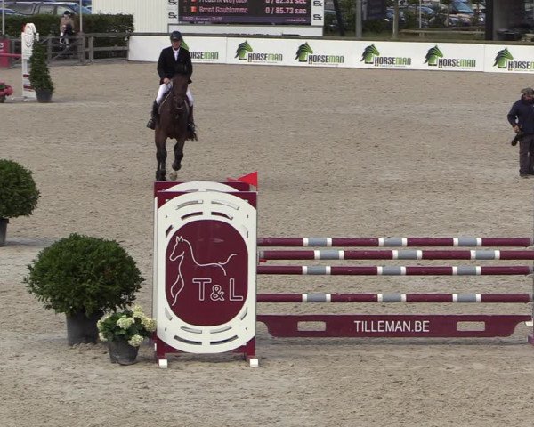 Belgisch Kampioenschap 4-5 Jarigen Paarden