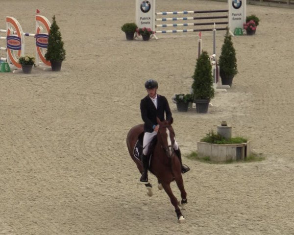 Belgisch Kampioenschap 4-5 Jarigen Paarden