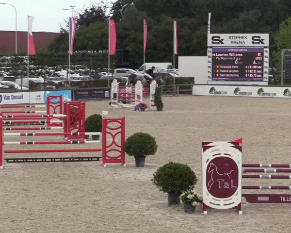 Belgisch Kampioenschap 4-5 Jarigen Paarden