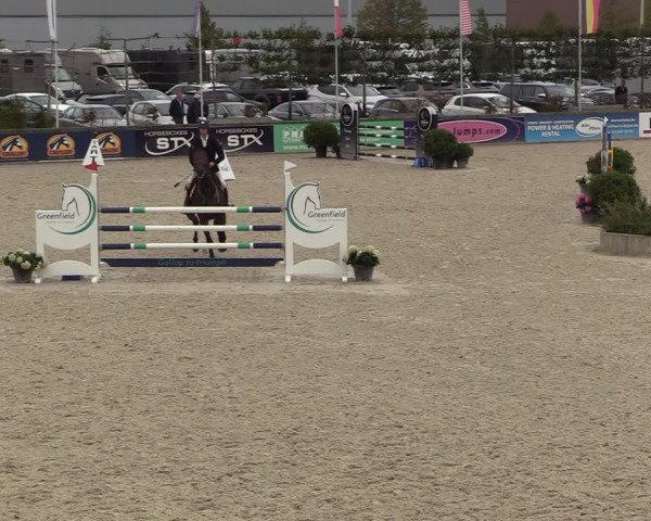 Belgisch Kampioenschap 4-5 Jarigen Paarden