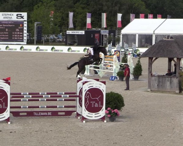 Belgisch Kampioenschap 4-5 Jarigen Paarden