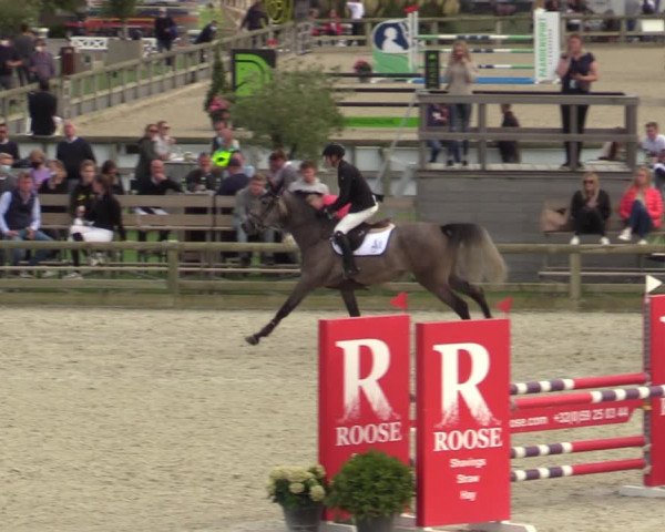 Belgisch Kampioenschap 4-5 Jarigen Paarden