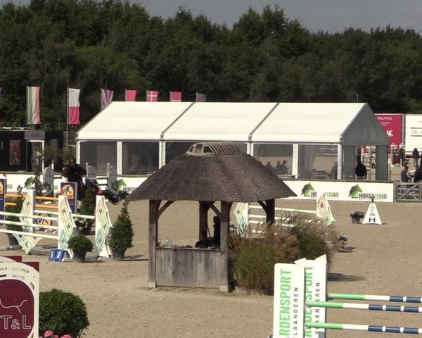 Belgisch Kampioenschap 4-5 Jarigen Paarden