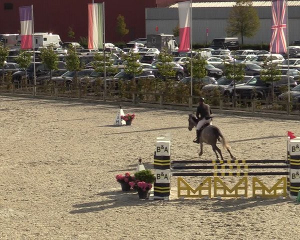 Belgisch Kampioenschap 4-5 Jarigen Paarden