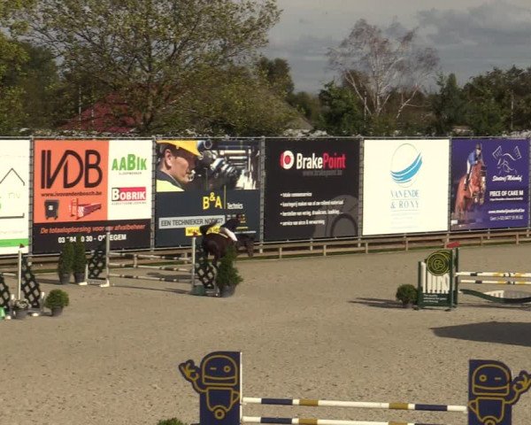 Belgisch Kampioenschap 4-5 Jarigen Paarden