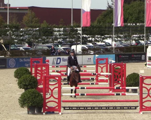 Belgisch Kampioenschap 4-5 Jarigen Paarden