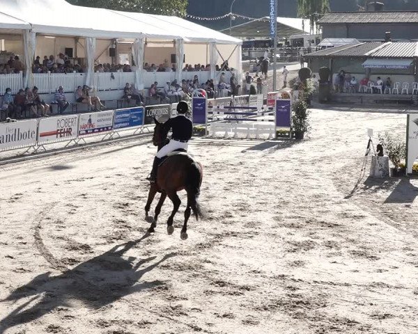 Reitturnier Humlikon 2020