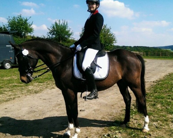 dressage horse Malisard (German Riding Pony, 2002, from Mariano)