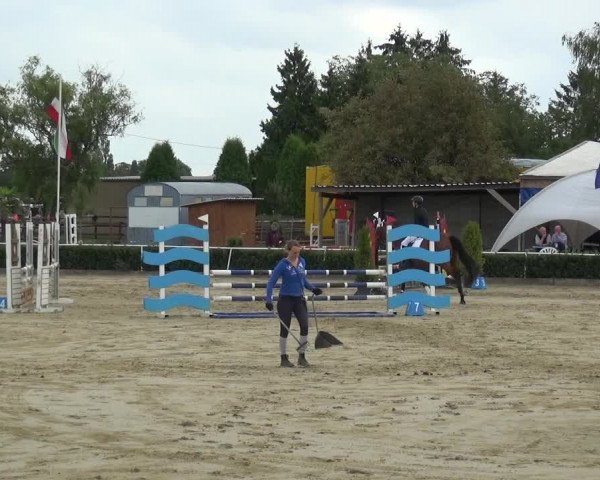 Reitturnier Bornheim-Widdig 2020