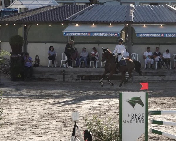 Reitturnier Humlikon 2020