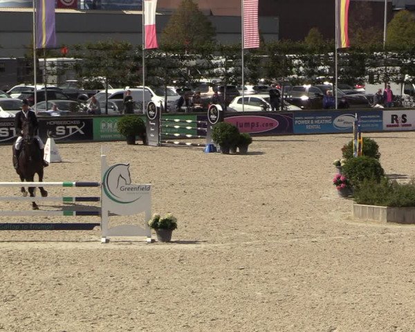 Belgisch Kampioenschap 4-5 Jarigen Paarden