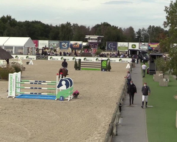 Belgisch Kampioenschap 4-5 Jarigen Paarden