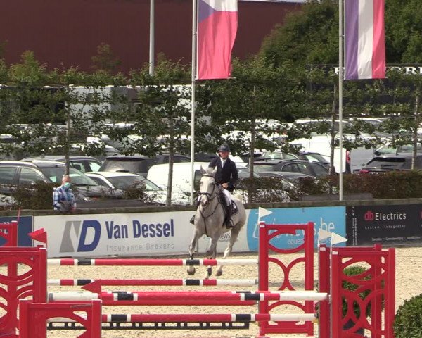 Belgisch Kampioenschap 4-5 Jarigen Paarden