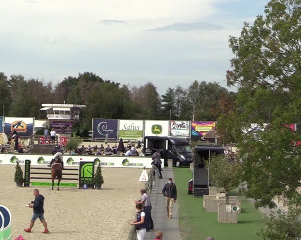 Belgisch Kampioenschap 4-5 Jarigen Paarden
