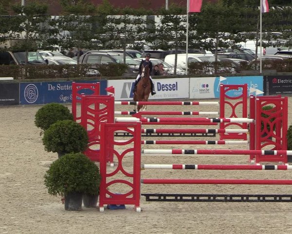 Belgisch Kampioenschap 4-5 Jarigen Paarden
