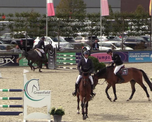 Belgisch Kampioenschap 4-5 Jarigen Paarden