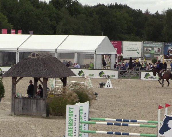 Belgisch Kampioenschap 4-5 Jarigen Paarden