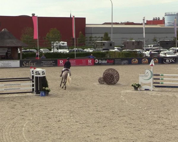 Belgisch Kampioenschap 4-5 Jarigen Paarden