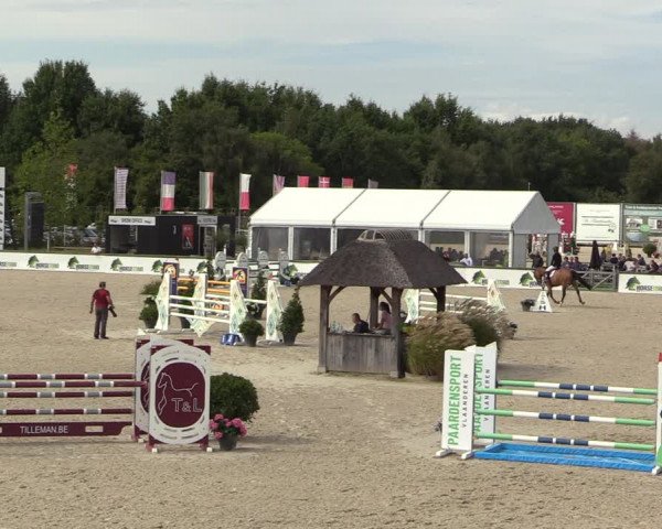Belgisch Kampioenschap 4-5 Jarigen Paarden