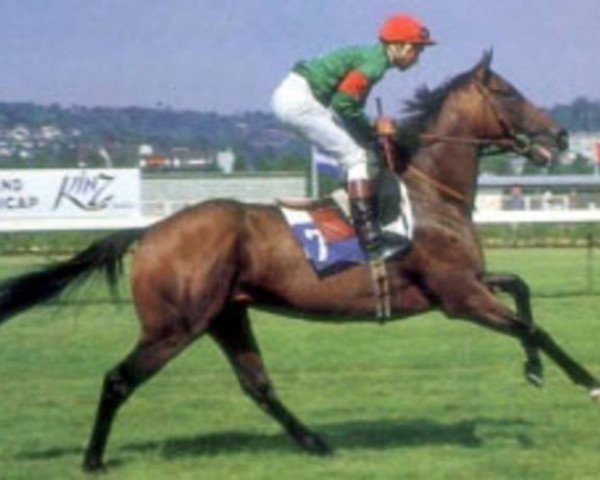 stallion Crystal Glitters xx (Thoroughbred, 1980, from Blushing Groom xx)