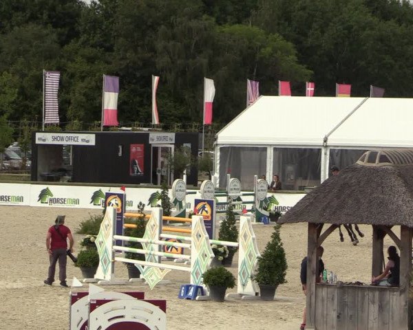 Belgisch Kampioenschap 4-5 Jarigen Paarden