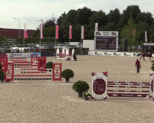 Belgisch Kampioenschap 4-5 Jarigen Paarden