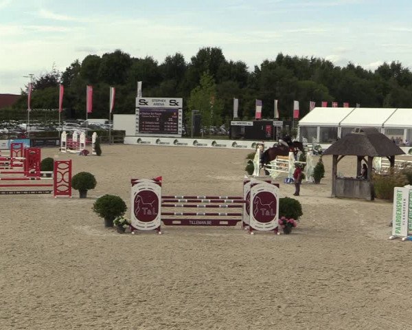 Belgisch Kampioenschap 4-5 Jarigen Paarden