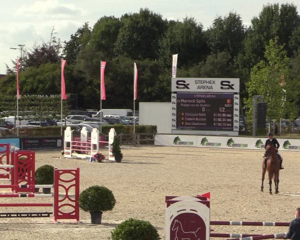 Belgisch Kampioenschap 4-5 Jarigen Paarden