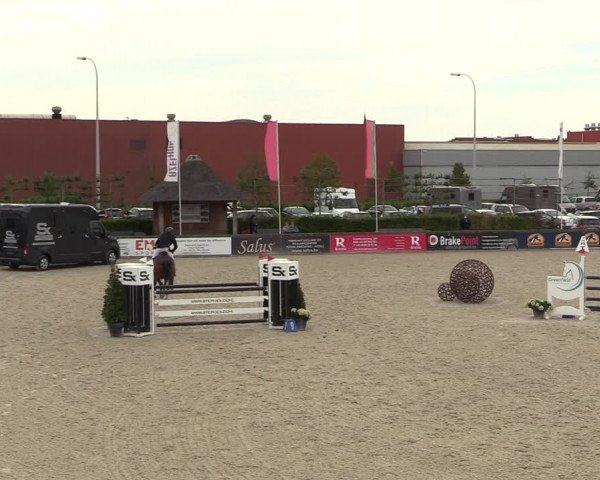 Belgisch Kampioenschap 4-5 Jarigen Paarden