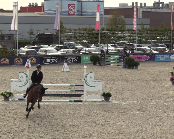 Belgisch Kampioenschap 4-5 Jarigen Paarden