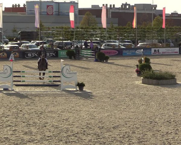 Belgisch Kampioenschap 4-5 Jarigen Paarden