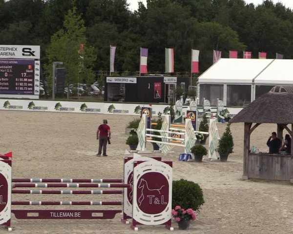 Belgisch Kampioenschap 4-5 Jarigen Paarden