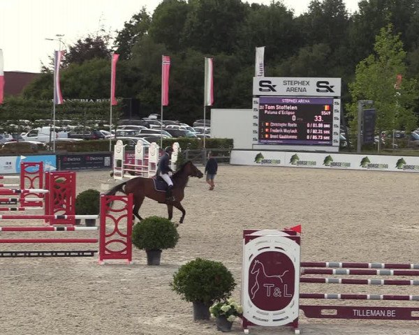 Belgisch Kampioenschap 4-5 Jarigen Paarden
