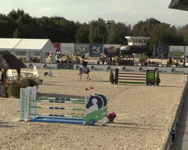 Belgisch Kampioenschap 4-5 Jarigen Paarden