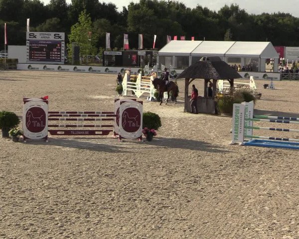 Belgisch Kampioenschap 4-5 Jarigen Paarden