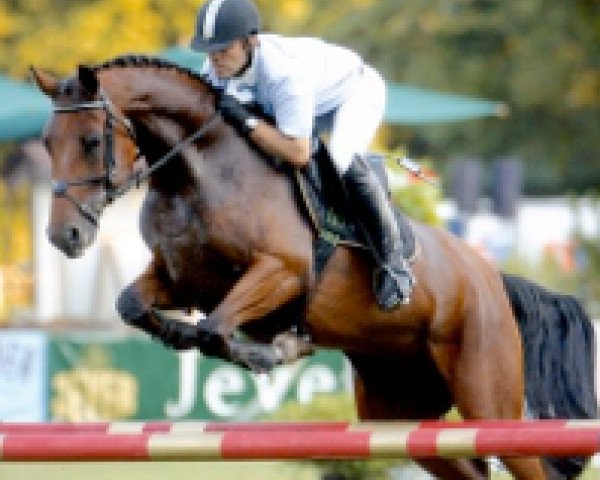 broodmare Amelie (Oldenburg, 2001, from Argentinus)