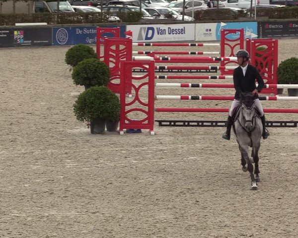 Belgisch Kampioenschap 4-5 Jarigen Paarden