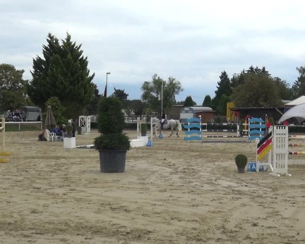 Reitturnier Bornheim-Widdig 2020