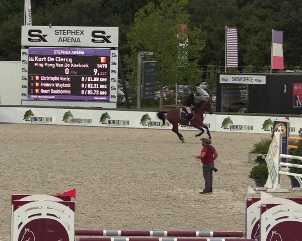 Belgisch Kampioenschap 4-5 Jarigen Paarden