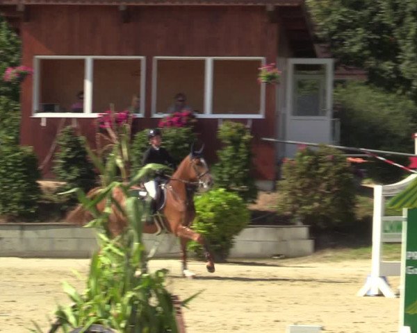 Reitturnier Ascheberg 2021