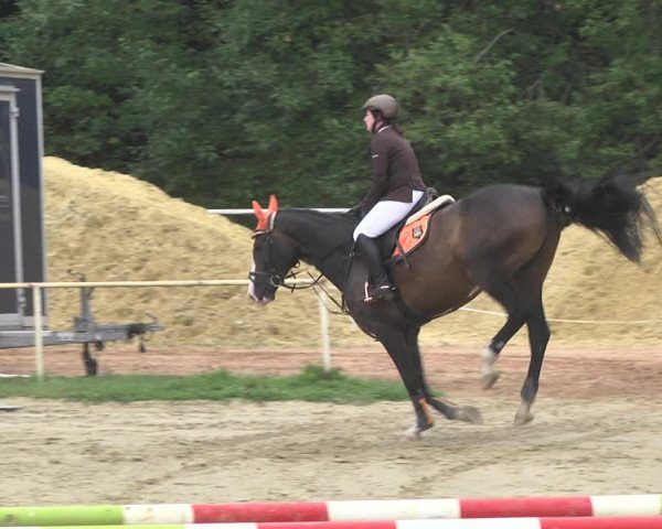 Reitturnier Heiligenwald 2020