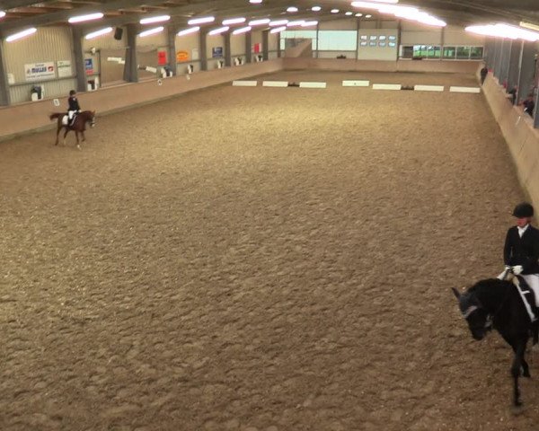 Reitturnier Ahaus 2020
