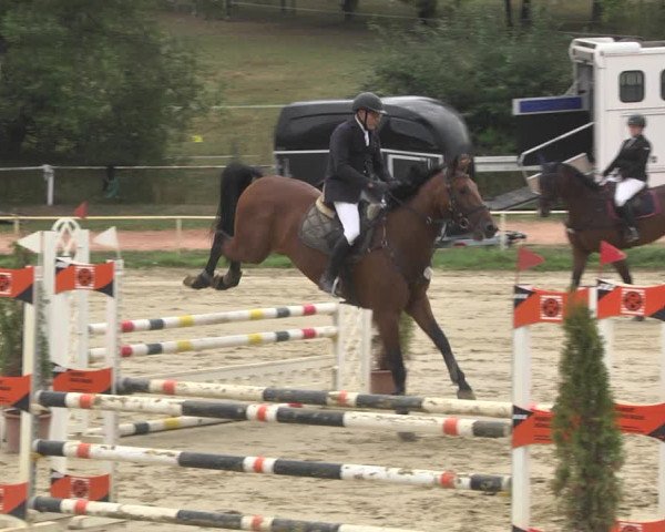 Reitturnier Heiligenwald 2020