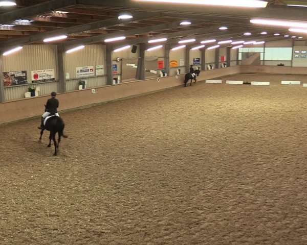 Reitturnier Ahaus 2020