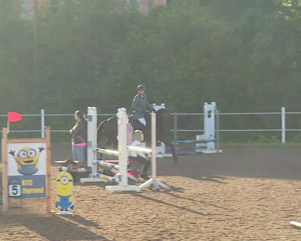 Reitturnier Demantsfürth/Mfr. 2020