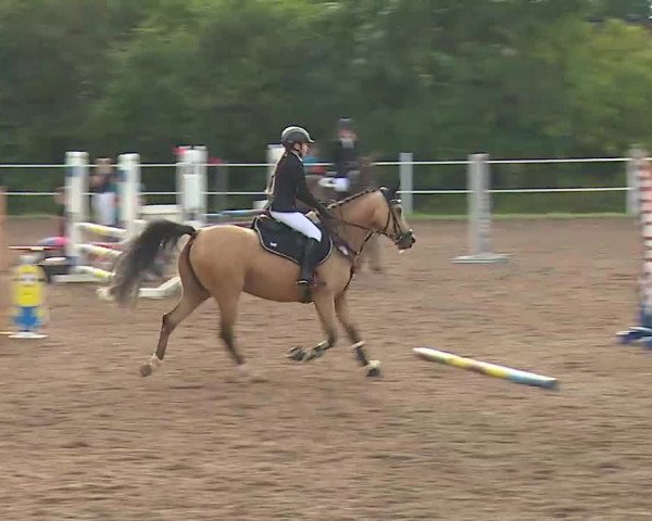 Reitturnier Demantsfürth/Mfr. 2020