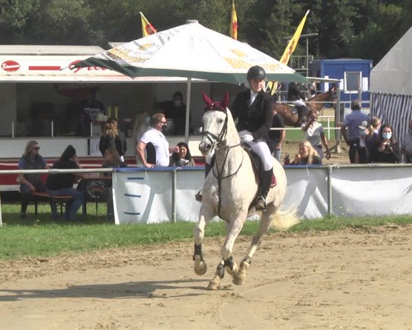 Reitturnier Heiligenwald 2020