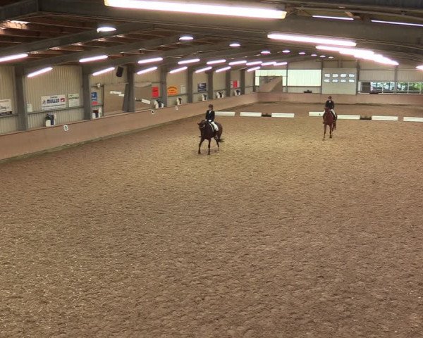 Reitturnier Ahaus 2020
